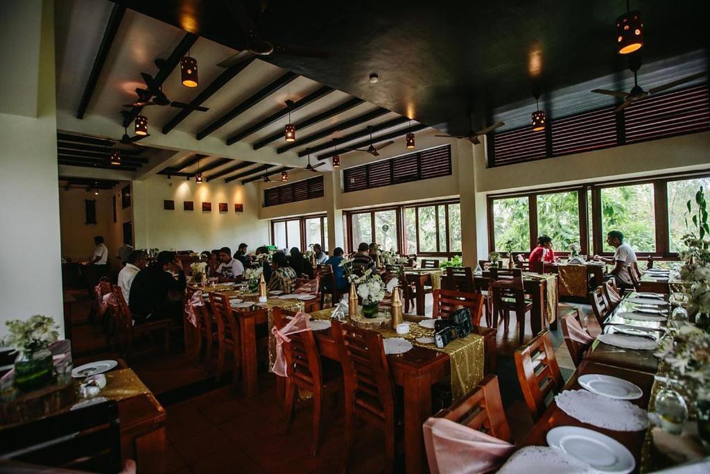 Wayanad Silver Woods Extérieur photo